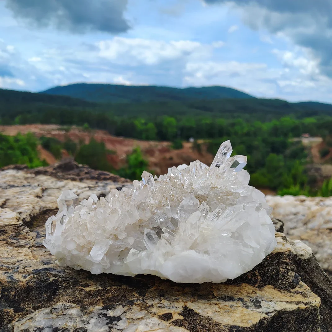 Earth's Raw Beauty Delivered Home