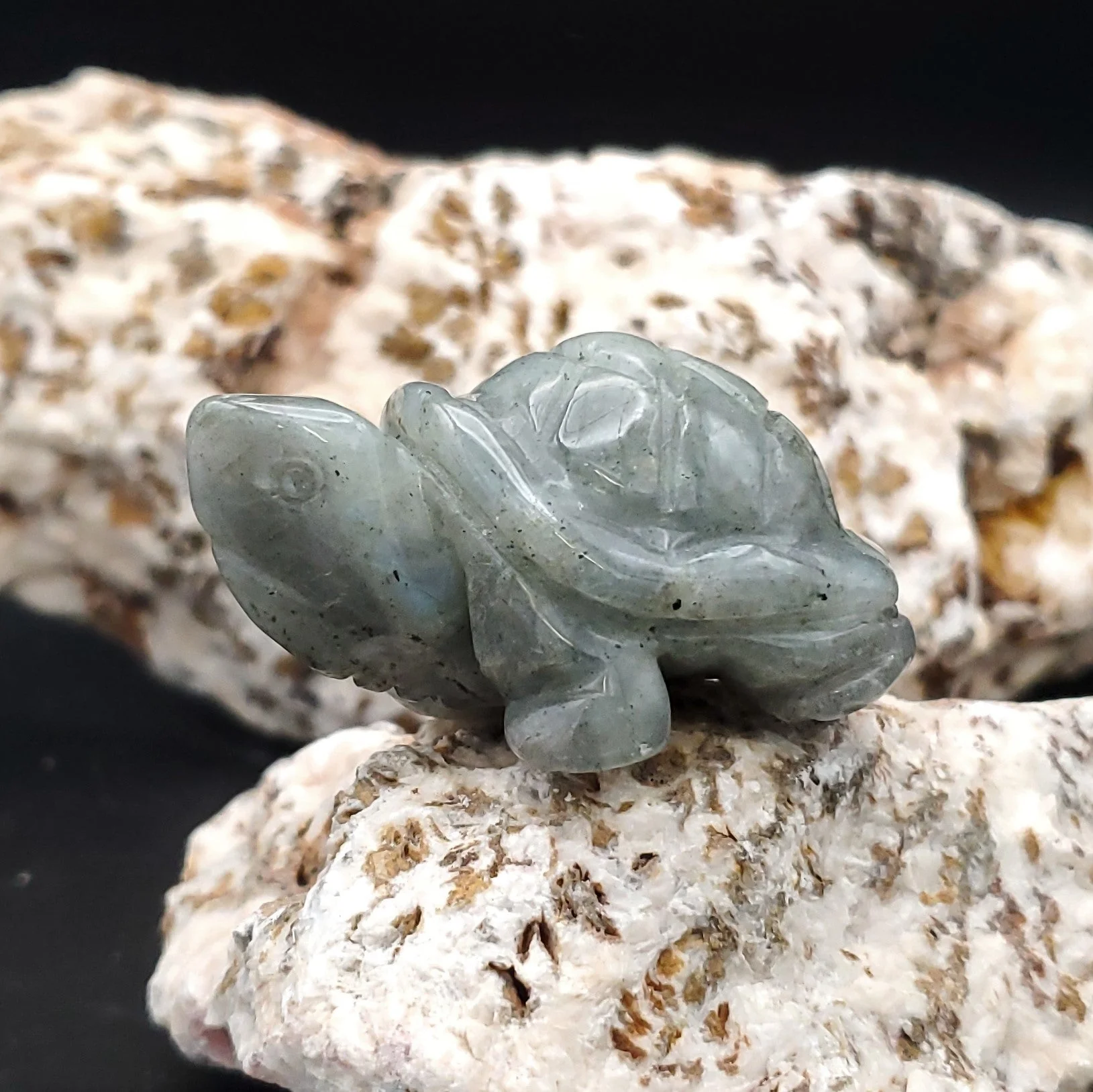 Carved Stone Animal Figurine 2-inch Mineral Turtle - Image 4