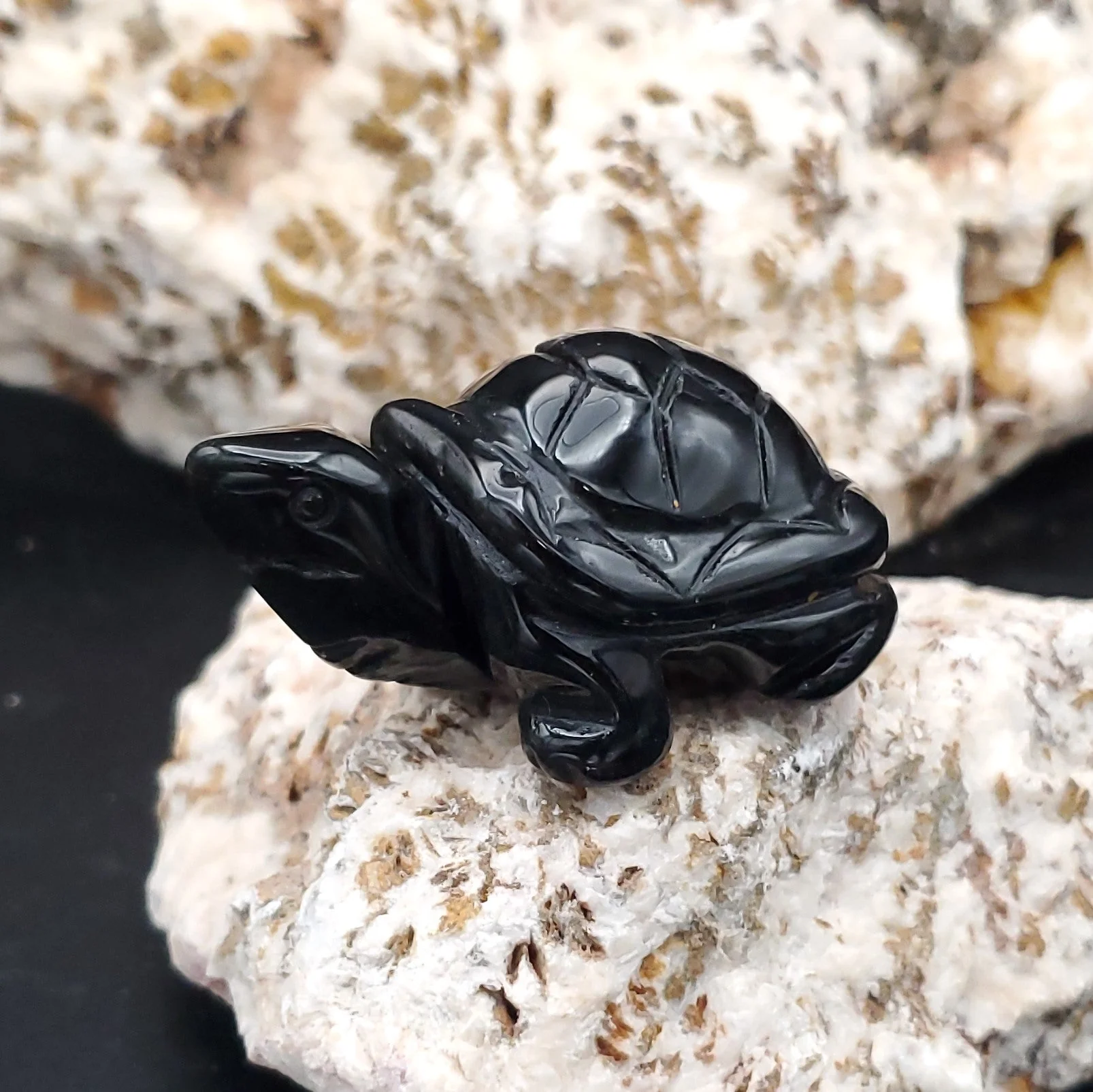 Carved Stone Animal Figurine 2-inch Mineral Turtle - Image 5