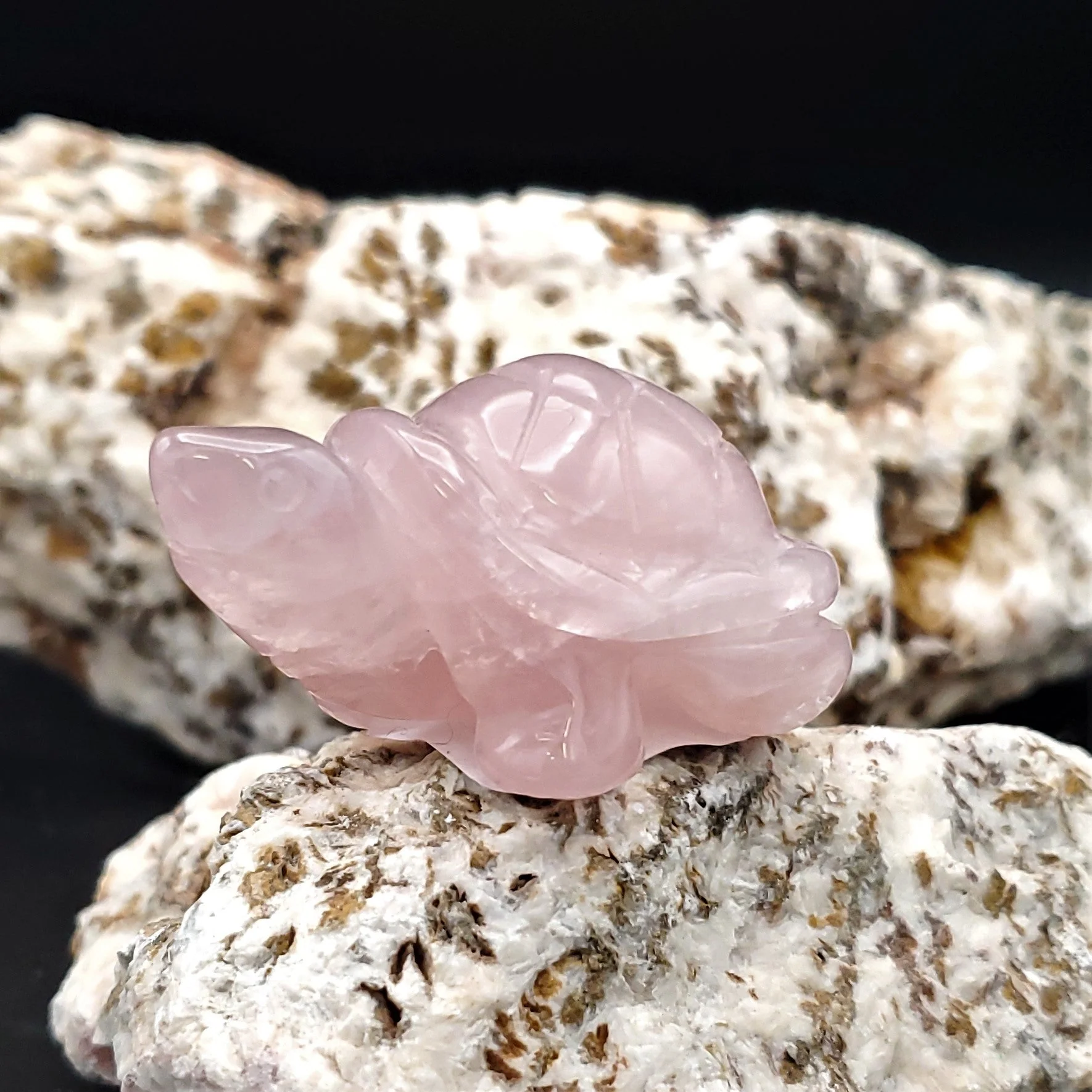 Carved Stone Animal Figurine 2-inch Mineral Turtle - Image 8