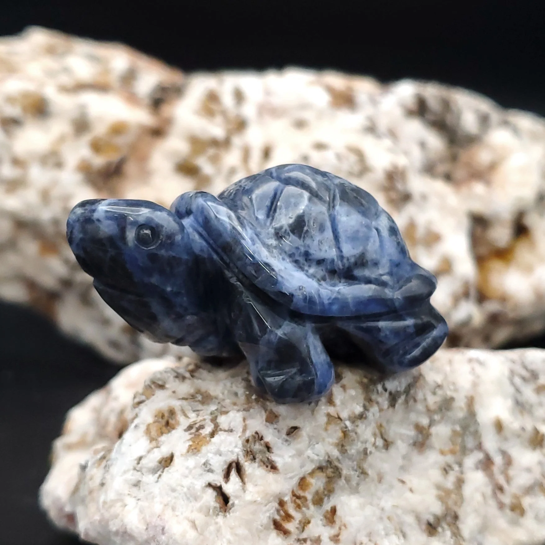 Carved Stone Animal Figurine 2-inch Mineral Turtle - Image 9