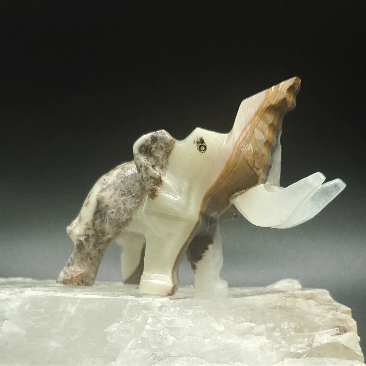 Elephant With Trunk Up Small Onyx Savage Elephant - Image 4