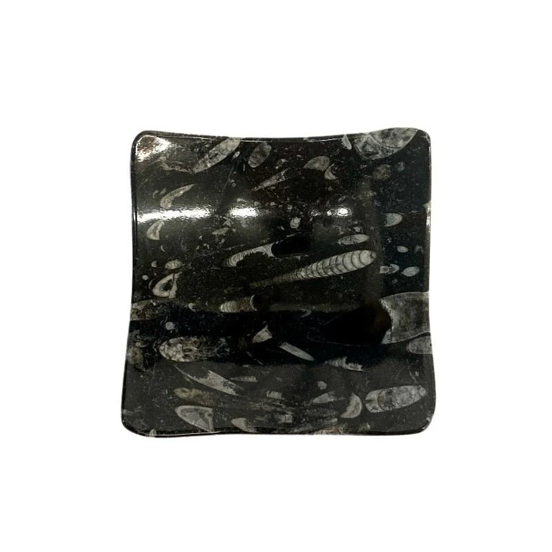Fossil Plate Square Black Concaved - Image 3