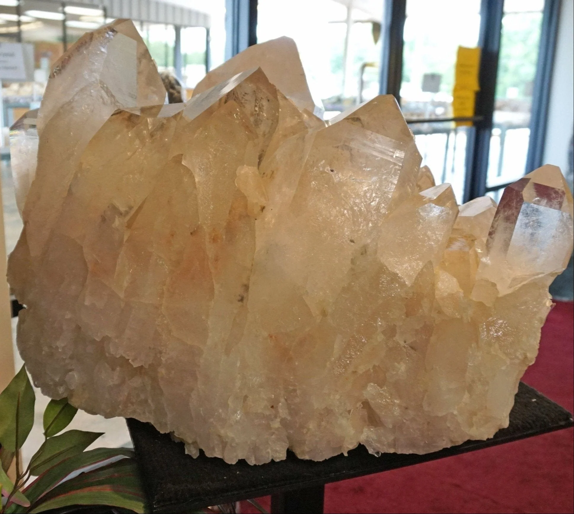 Large Raw Quartz Crystal Cluster Buy Direct - Image 7