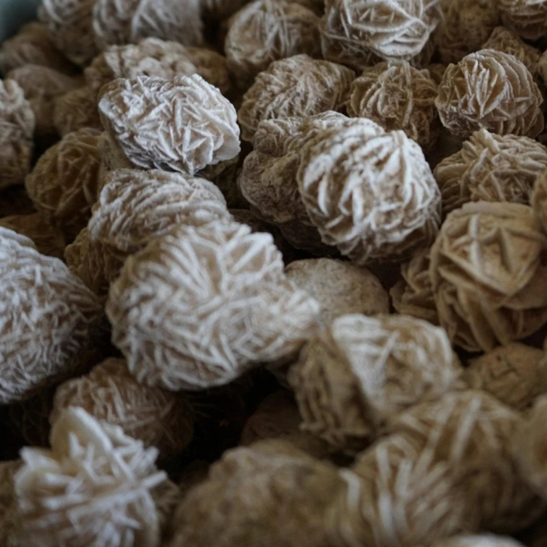 Sand Selenite Desert Rose Rock For Sale - Image 3