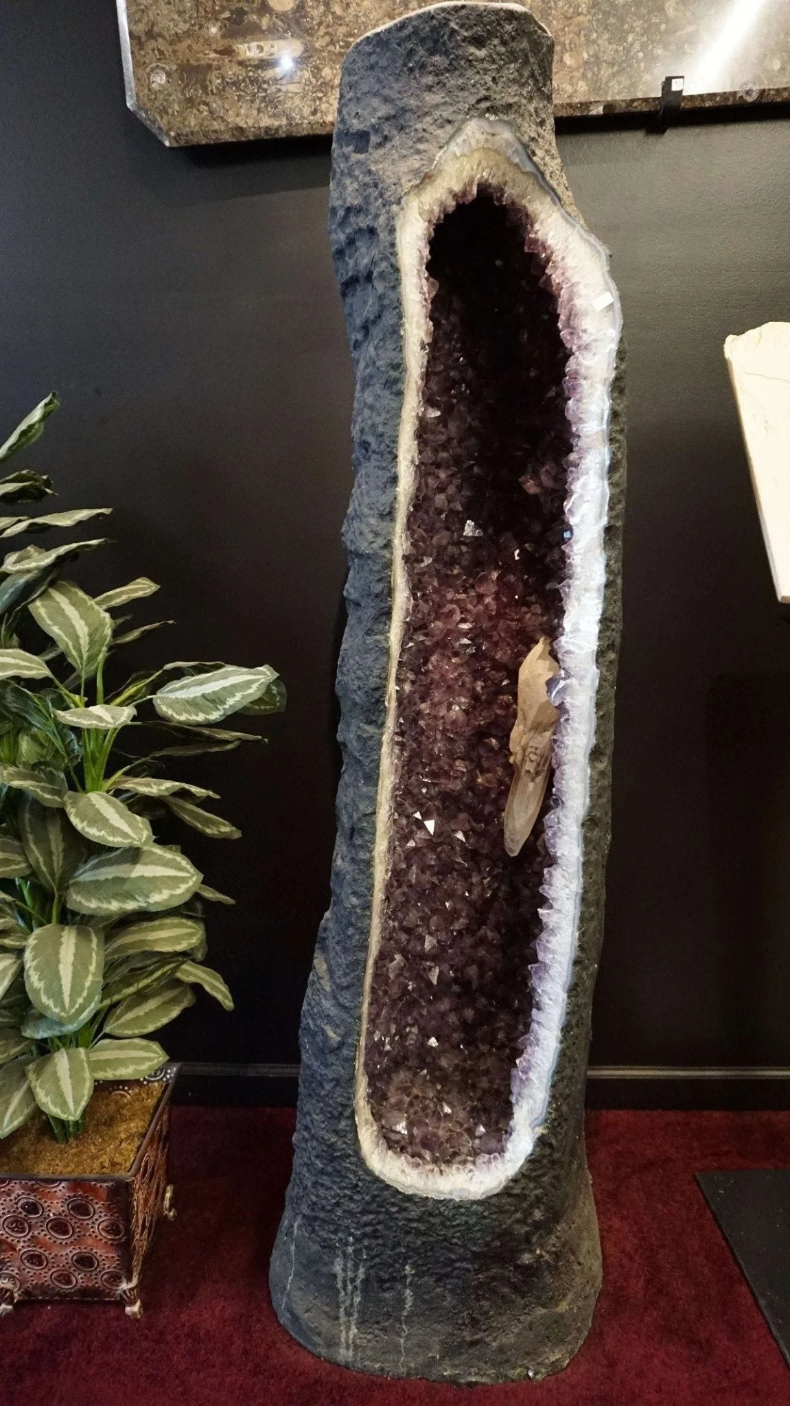 Amethyst Geode Quartz Crystal Cluster Tube - Image 5